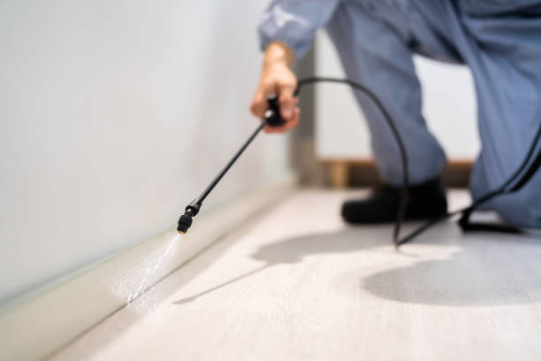 Licensed Pest Control service in Newcastle, CA - Show Me Pest Control
